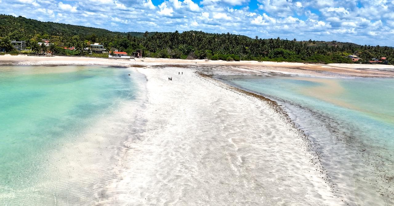 Conheça os Caminhos de Maragogi - 5