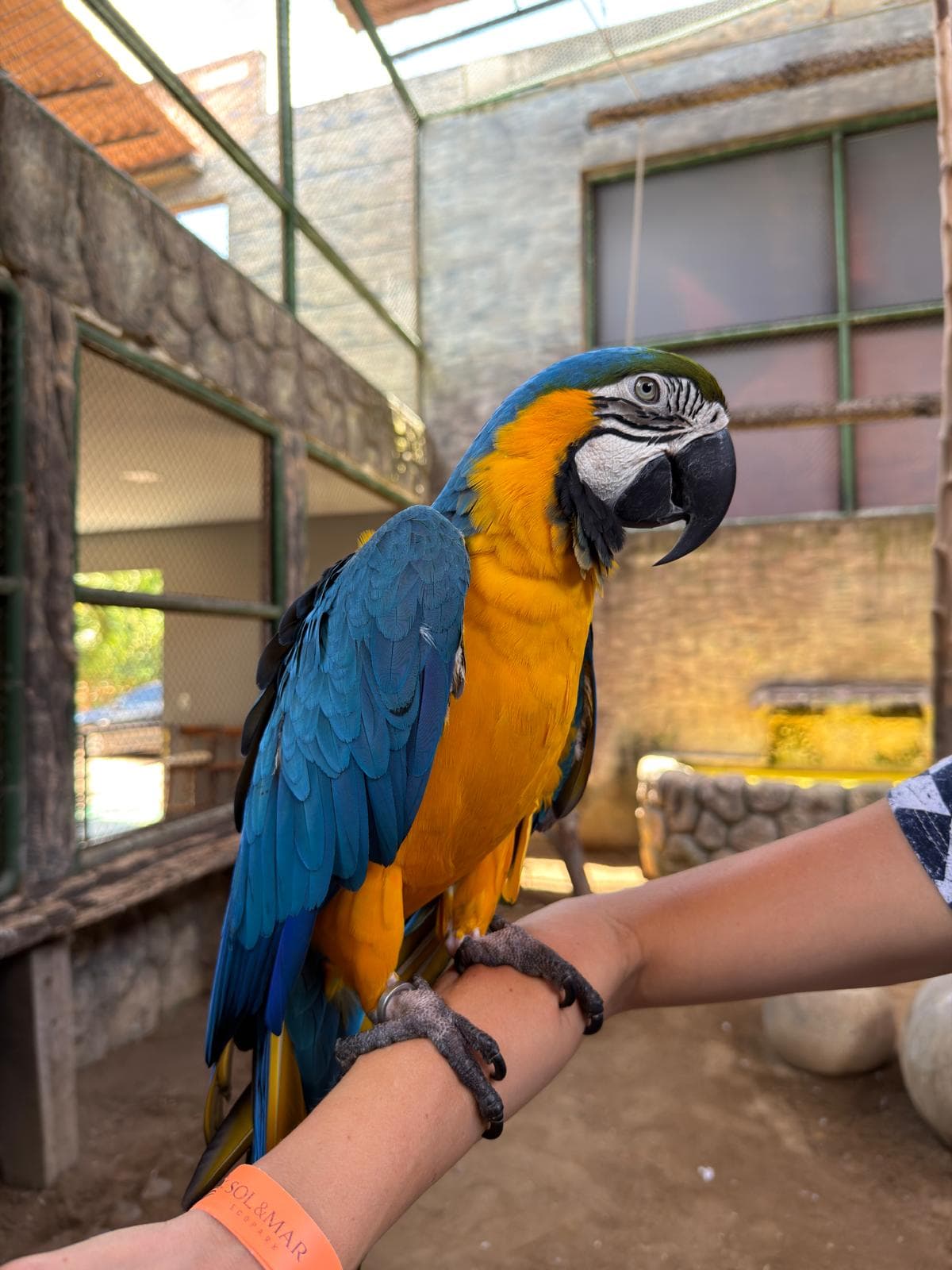 Cultura e Natureza - 4