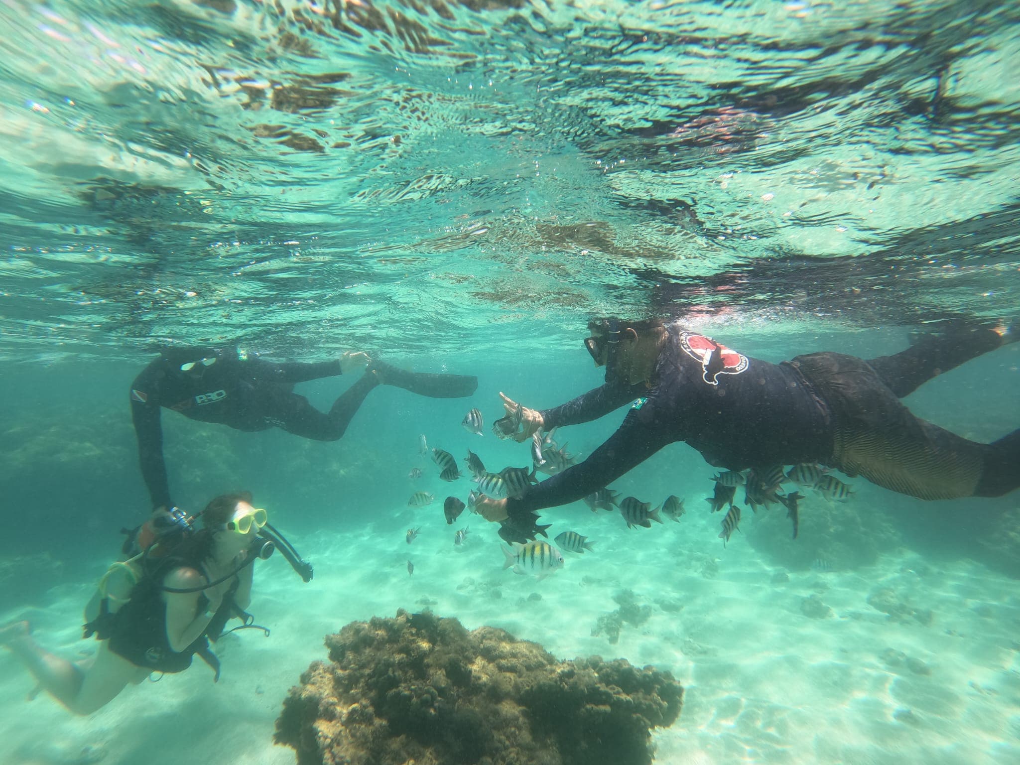 Aventuras Aquáticas - 2